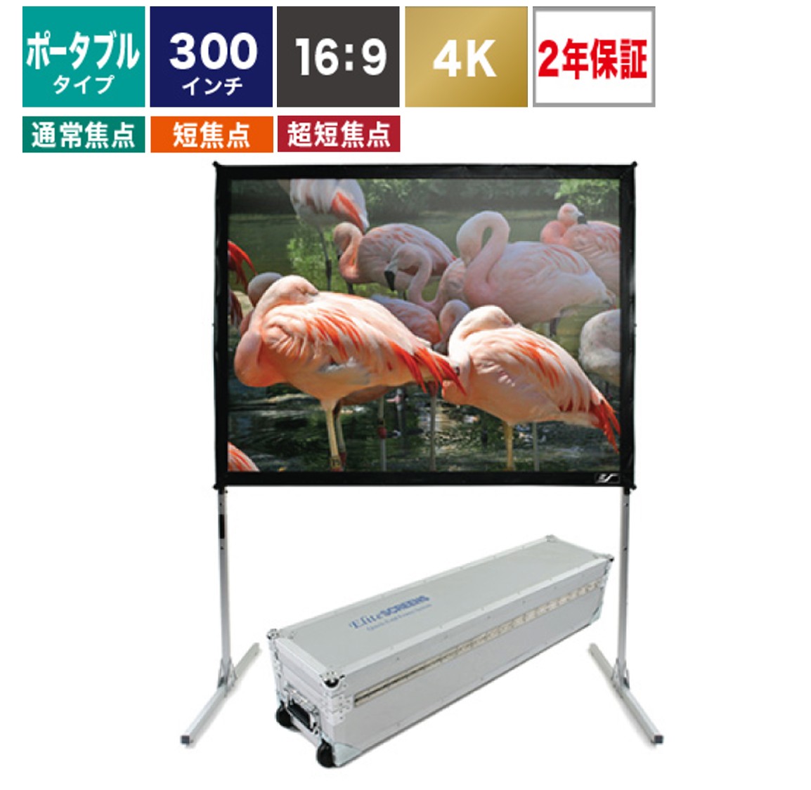 �N�C�b�N�X�^���h 300�C���`(16:9) �V�l�z���C�g�f��
